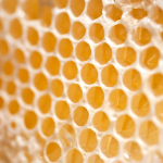 Beeswax