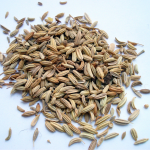 Fennel