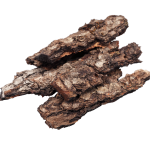 Kashmir Oud
