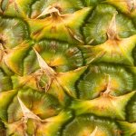 Pineapple Leaf
