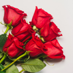 Red Roses