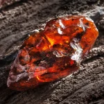 Amberwood