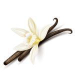 Vanilla