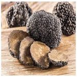 Truffle